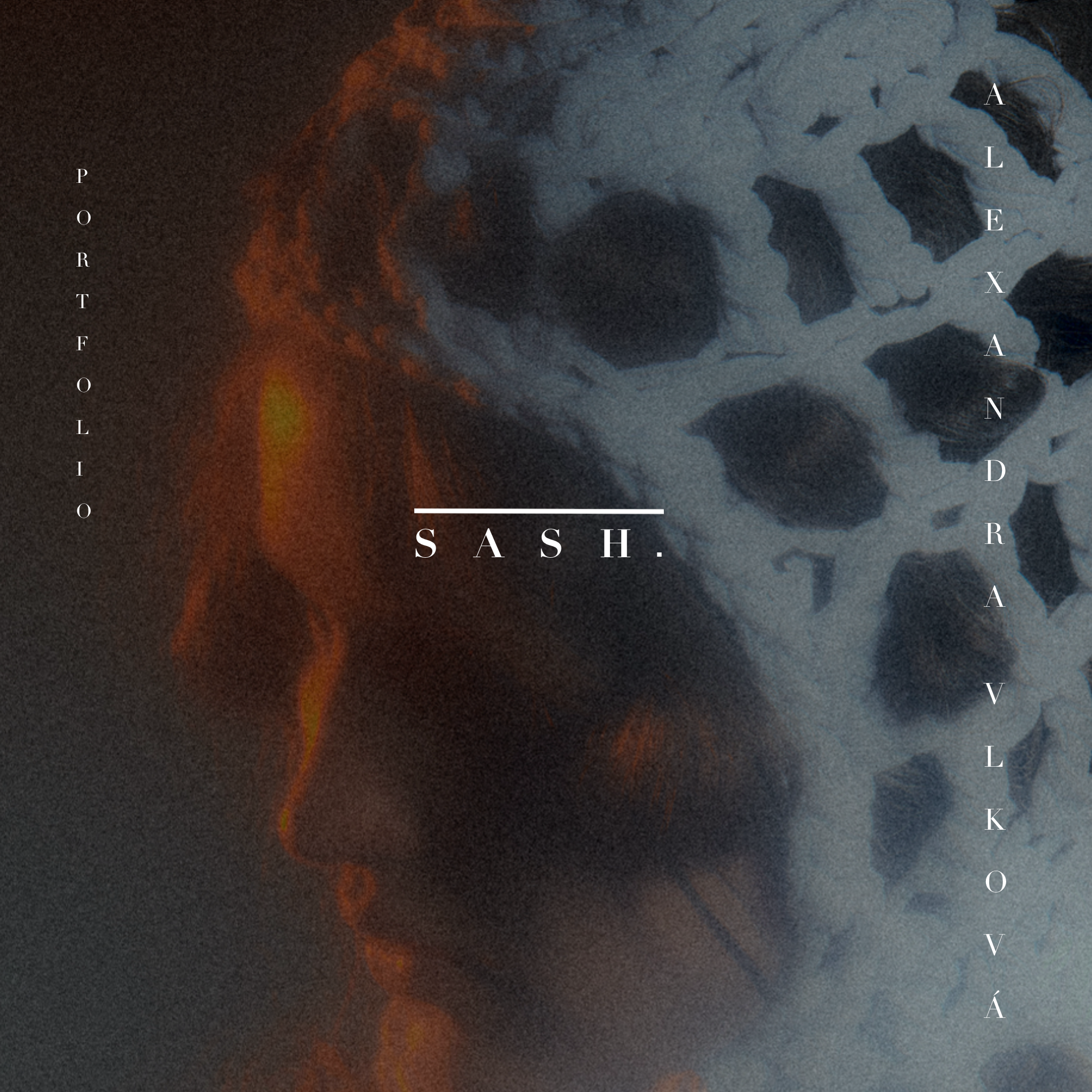 Sash Poster